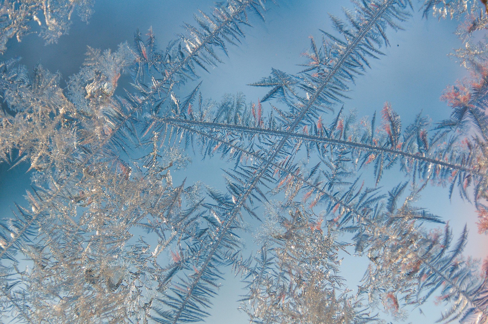 Winter 6897046 1920